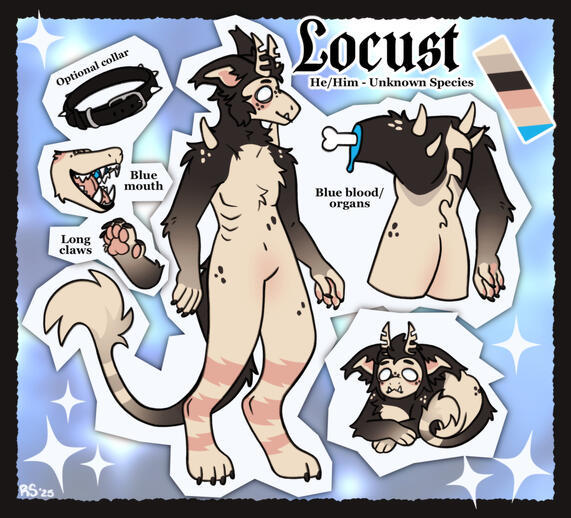 Fullbody + 1/3 back + chibi full + close ups